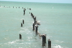 key west 257_risultato